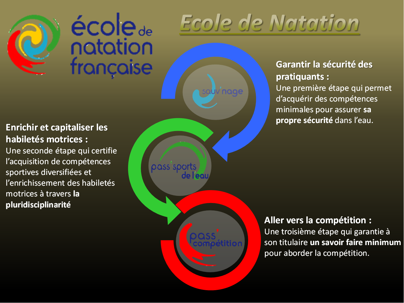 /ecole_de_natation_francaise